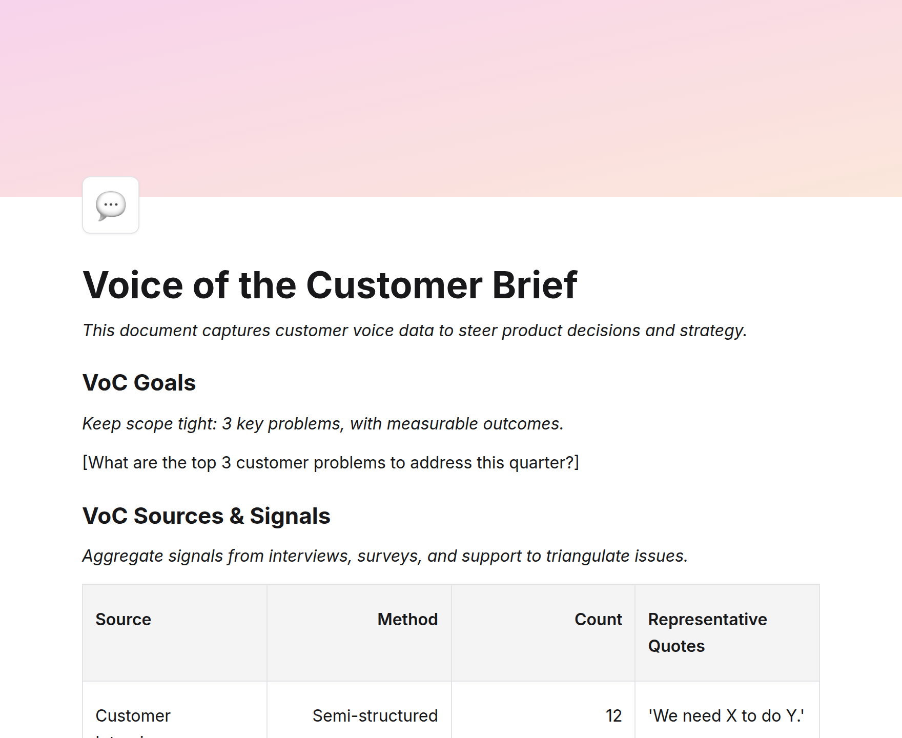 Voice of the Customer Brief